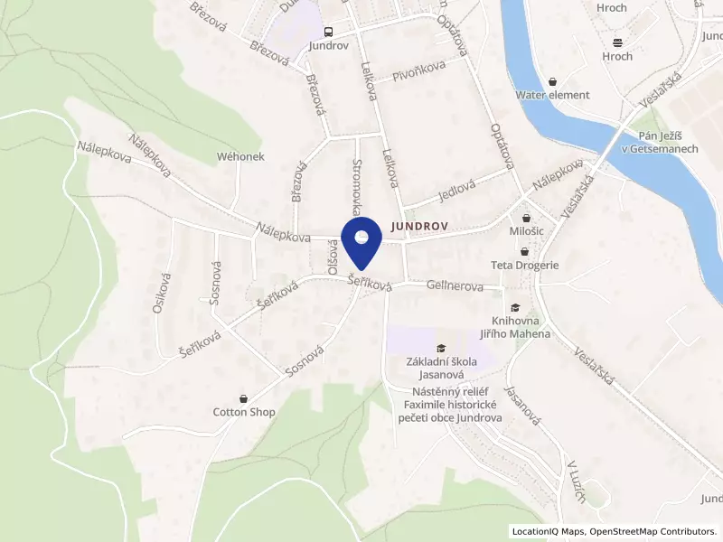 JANUSI, spol. s r.o., Šeříková 600/14, 63700 Brno - Jundrov, IČO 63468042