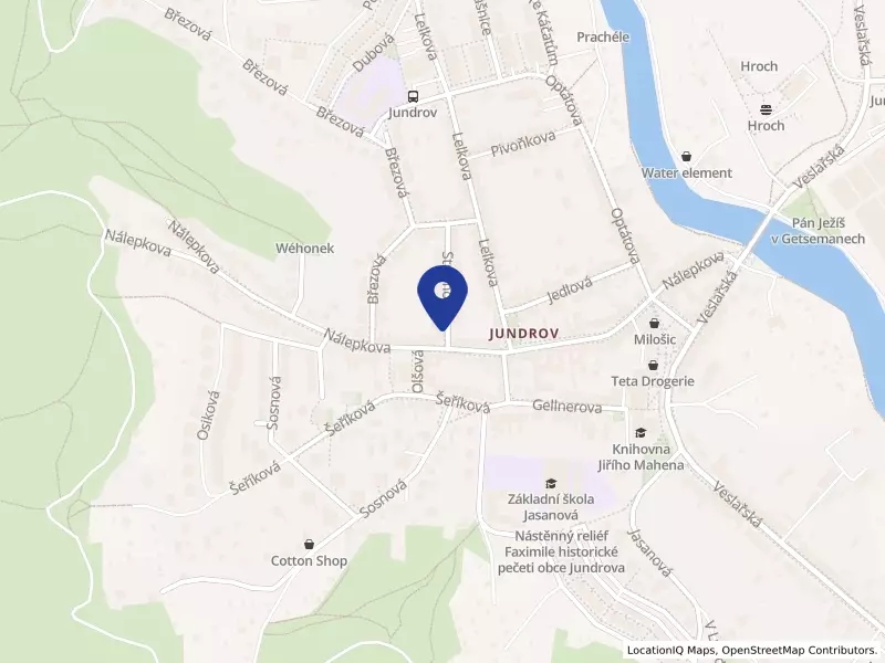 Ústav Stromovka, z.ú., Stromovka 114/1, 63700 Brno - Jundrov, IČO 11725338