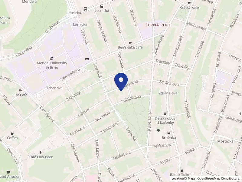 ABU BABEL s.r.o., Zdráhalova 1753/10, 61300 Brno - Černá Pole, IČO 08138966