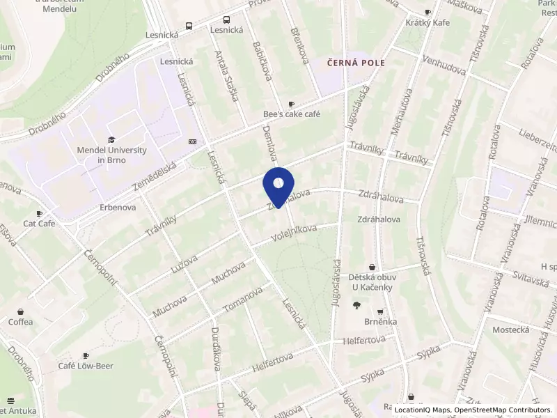 BIZAP Brno, s.r.o., Brno, Zdráhalova 264/14, 61300 Brno - Černá Pole, IČO 29312213