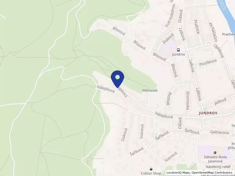 Lingea s.r.o., Nálepkova 79/131, 63700 Brno - Jundrov, IČO 25347659