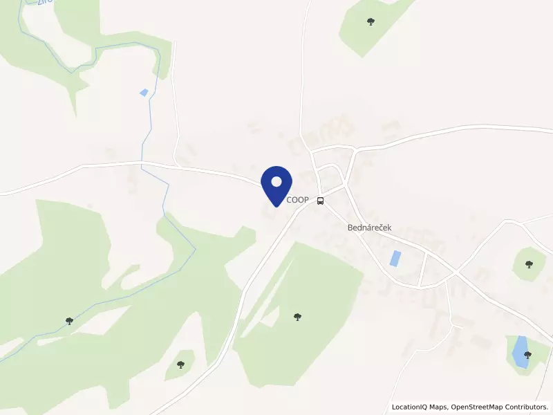 MM Health Care s.r.o., 3, 37842 Bednáreček - Bednáreček, IČO 28977831