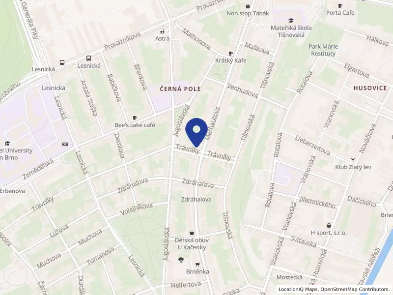 Expra z. ú., Trávníky 971/73, 61300 Brno - Černá Pole, IČO 03307727