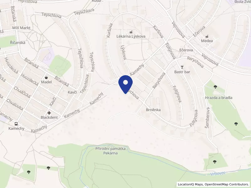 Kojot pub, s.r.o. v likvidaci, Rerychova 1159/20, 63500 Brno - Bystrc, IČO 29370833
