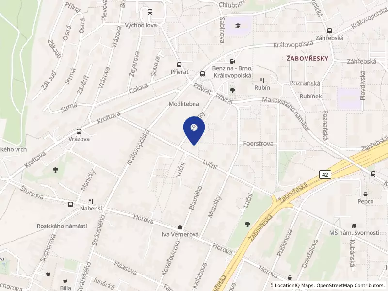 Psychiatrie Ponávka s.r.o., Luční 2437/13, 61600 Brno - Žabovřesky, IČO 07658028
