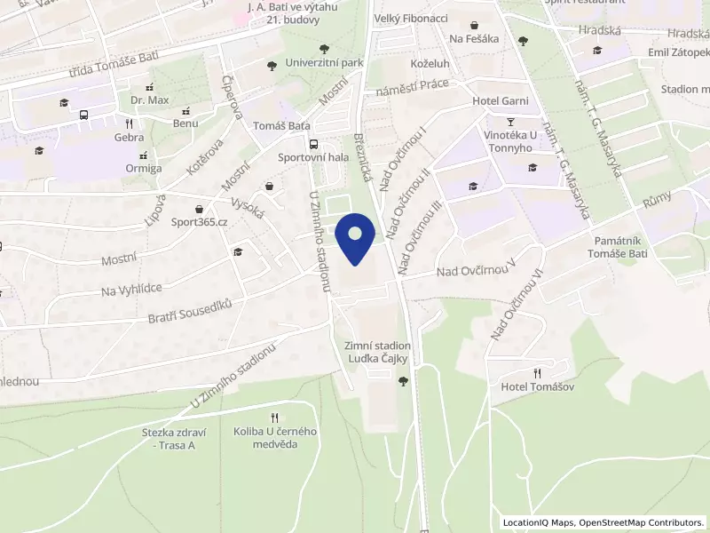Handball club Zlín, z.s., U Zimního stadionu 4286, 76001 Zlín - Zlín, IČO 49157582
