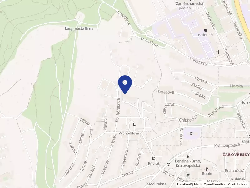 Domov pro seniory Vychodilova, příspěvková organizace, Vychodilova 3077/20, 61600 Brno - Žabovřesky, IČO 70887276