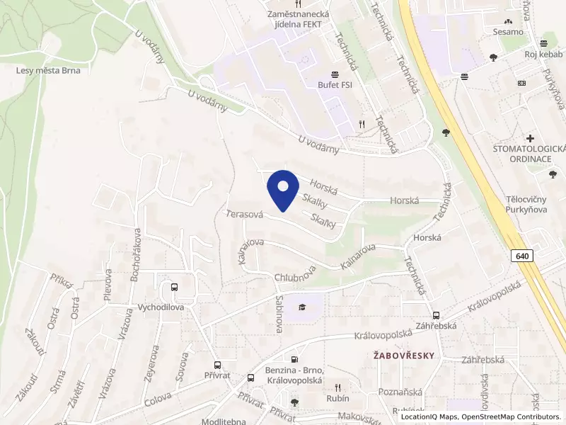 Express copy s.r.o., Terasová 2942/40, 61600 Brno - Žabovřesky, IČO 01832603