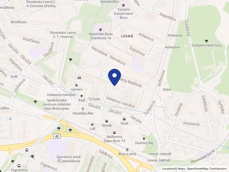 gastro chata s.r.o., Halasovo náměstí 112/2, 63800 Brno - Lesná, IČO 03498336