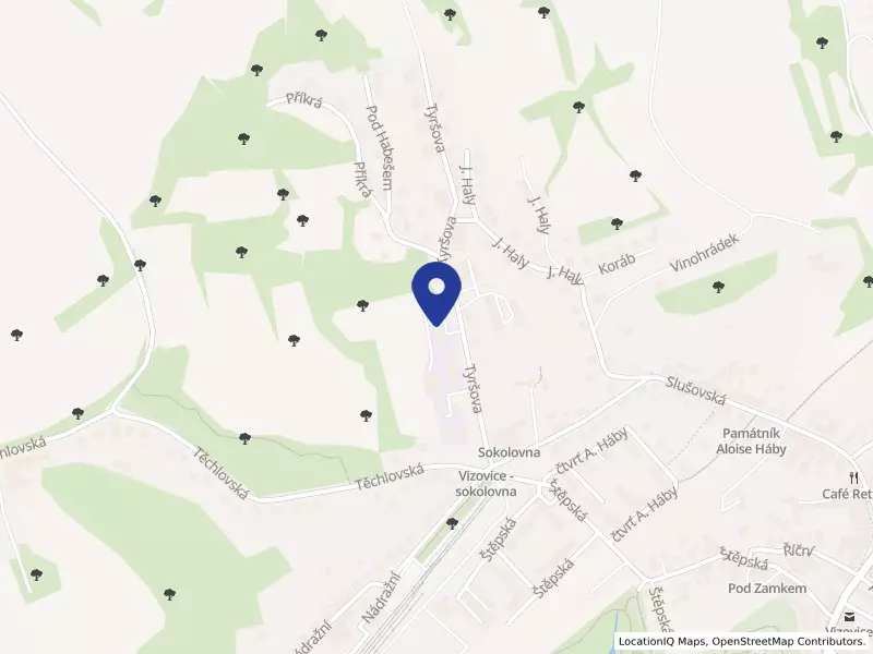 Střední škola oděvní a služeb Vizovice, Tyršova 874, 76312 Vizovice - Vizovice, IČO 00837237
