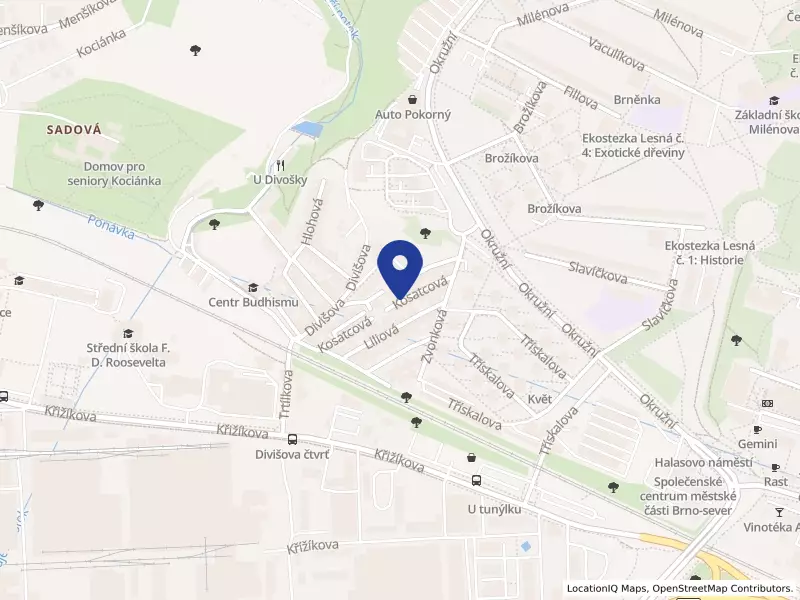 Masérské služby s.r.o., Kosatcová 920/15, 61200 Brno - Lesná, IČO 04932188