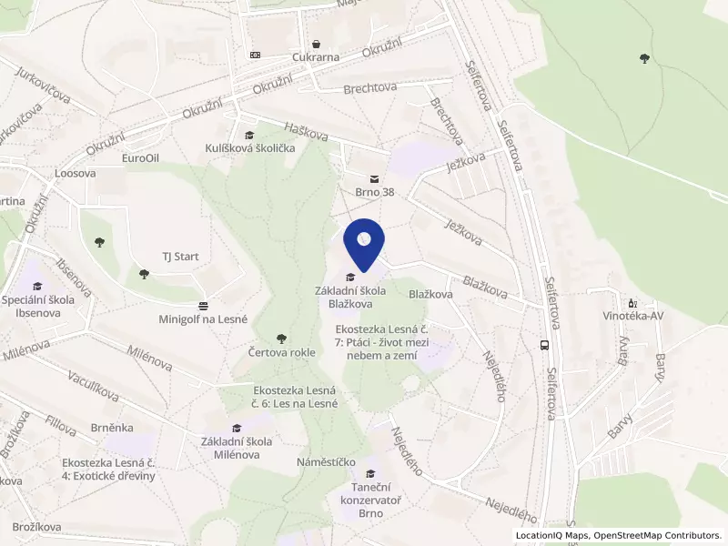 Základní škola a Mateřská škola Brno, Blažkova 9, příspěvková organizace, Blažkova 21/9, 63800 Brno - Lesná, IČO 49466631