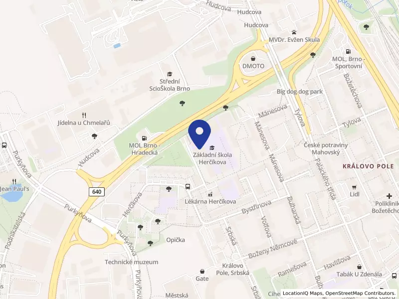 Základní škola, Brno, Herčíkova 19, příspěvková organizace, Herčíkova 2499/19, 61200 Brno - Královo Pole, IČO 62157116