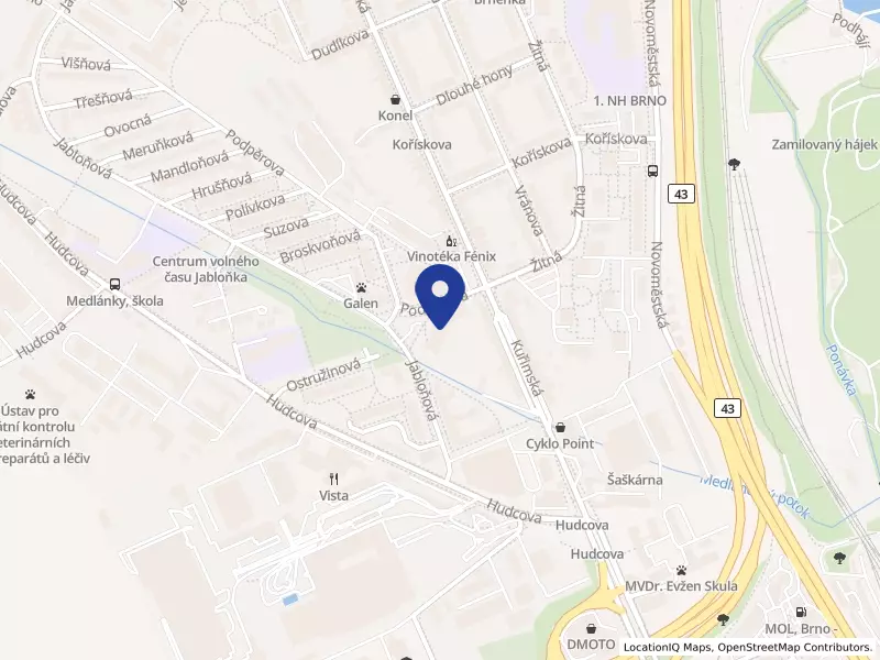 Domov pro seniory Podpěrova, příspěvková organizace, Podpěrova 501/4, 62100 Brno - Medlánky, IČO 70887233
