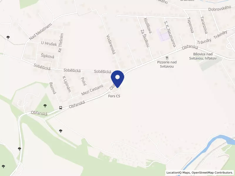 FORS CS, spol. s r.o., Bílovice nad Svitavou, Obřanská, 66401 Bílovice nad Svitavou - Bílovice nad Svitavou, IČO 60698144