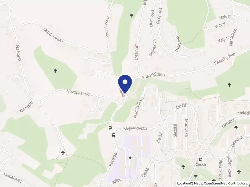 SHATA STAV CZ, s.r.o., U Kaple 354, 76001 Zlín - Zlín, IČO 25561863