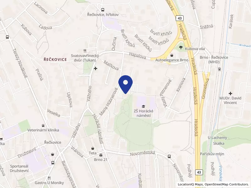 Black Star Forge s.r.o., Horácké náměstí 1470/8, 62100 Brno - Řečkovice, IČO 14017555