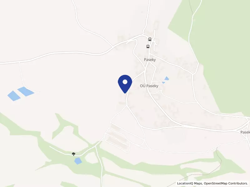 Thajské masáže Strakonice, s.r.o., Paseky, 22, 39811 Paseky - Paseky, IČO 07585543