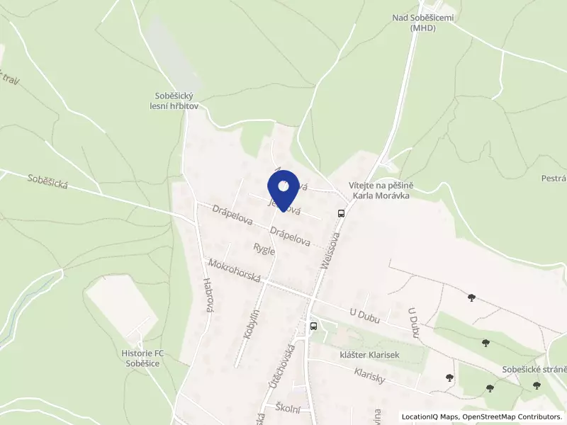 DENTAM, s.r.o., Jetelová 541/14, 64400 Brno - Soběšice, IČO 29312019