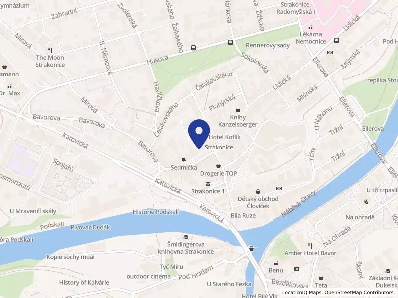 Město Strakonice, Velké náměstí 2, 38601 Strakonice - Strakonice I, IČO 00251810