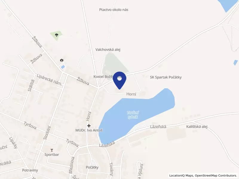 Výchovný ústav, dětský domov se školou, střední škola, základní škola a školní jídelna, Počátky, Horní 617, Horní 617, 39464 Počátky - Počátky, IČO 70845280