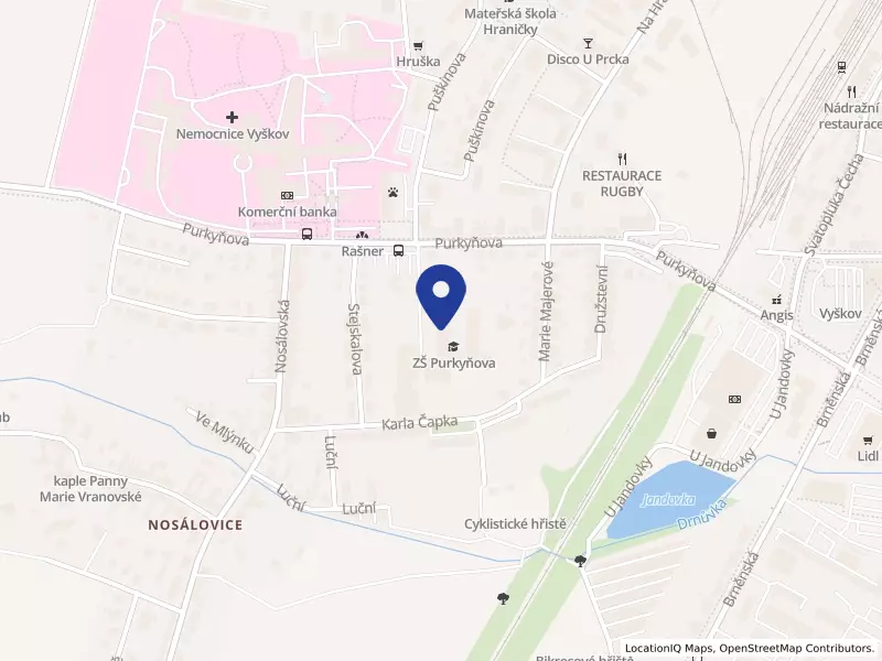 Základní škola Vyškov, Purkyňova 39, příspěvková organizace, Purkyňova 308/39, 68201 Vyškov - Nosálovice, IČO 42660556