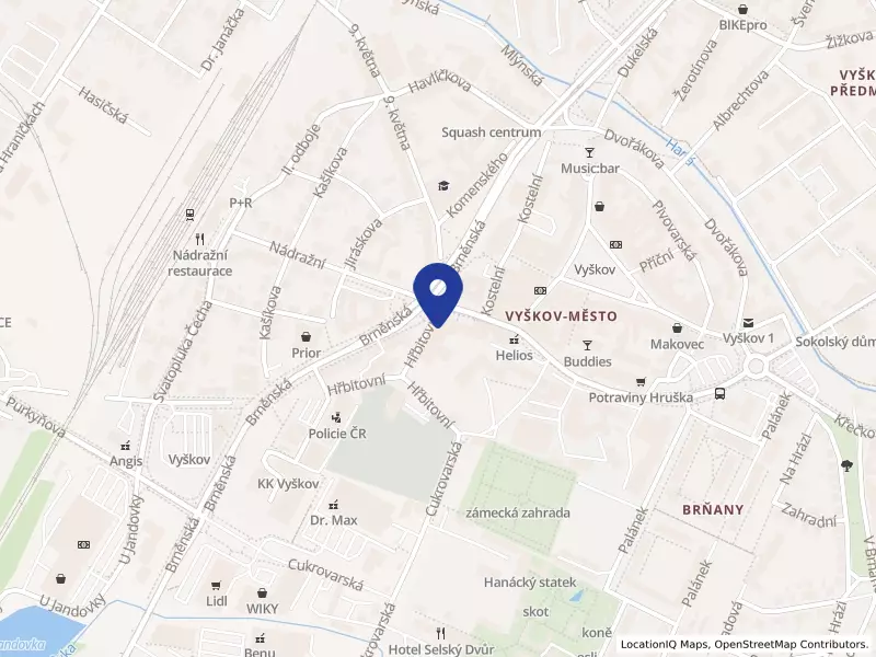 Základní škola Vyškov, Nádražní 5, příspěvková organizace, Vyškov, Nádražní 5/5, 68201 Vyškov - Vyškov-Město, IČO 46271007