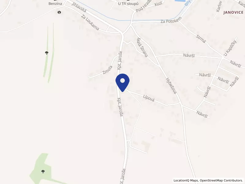 CZanidis, s.r.o., Kpt. Jaroše 137, 59501 Velká Bíteš - Janovice, IČO 27684296