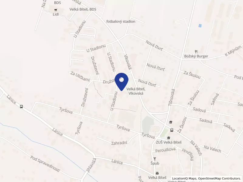 Dětská psychiatrická nemocnice, U Stadionu 285, 59501 Velká Bíteš - Velká Bíteš, IČO 00842052