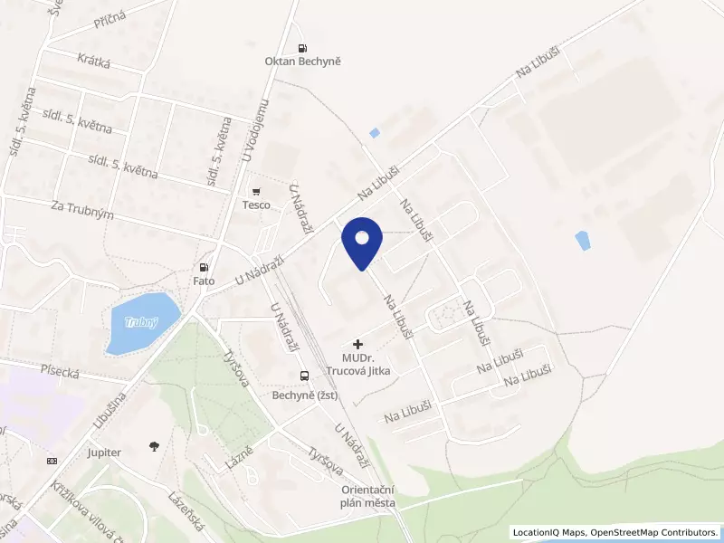 Domov pro seniory Bechyně, Na Libuši 999, 39165 Bechyně - Bechyně, IČO 75011239