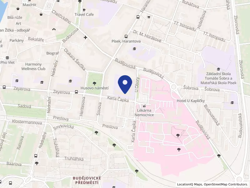 Střední průmyslová škola a Vyšší odborná škola, Písek, Karla Čapka 402, Karla Čapka 402, 39701 Písek - Budějovické Předměstí, IČO 60869038