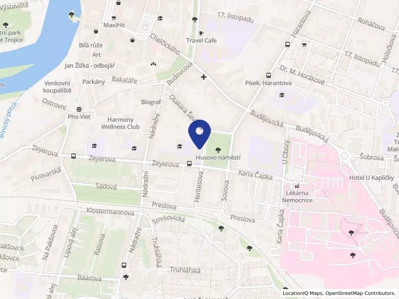Základní škola Jana Husa a Mateřská škola Písek, Husovo nám. 725, Husovo nám. 725/5, 39701 Písek - Budějovické Předměstí, IČO 70943141