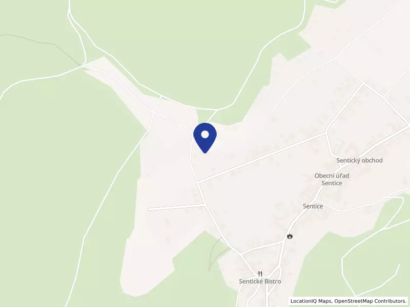 Základní škola a Střední škola CoLibri, 215, 66603 Sentice - Sentice, IČO 08839026