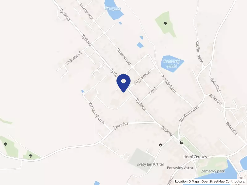 Základní škola Horní Cerekev, okres Pelhřimov, Tyršova 209, 39403 Horní Cerekev - Horní Cerekev, IČO 75000296