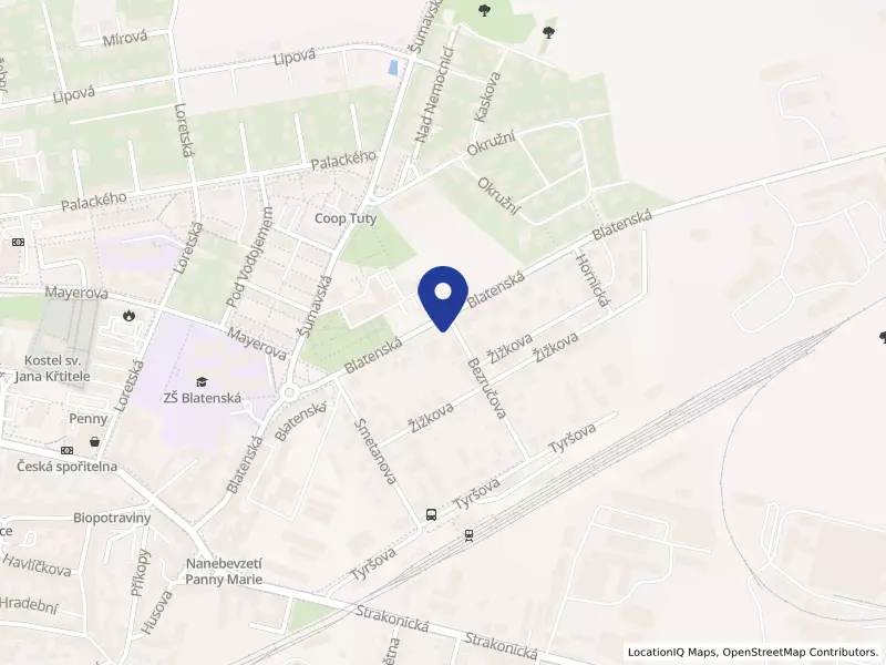 BORCINIO s.r.o., Blatenská 320, 34101 Horažďovice - Horažďovice, IČO 04390881