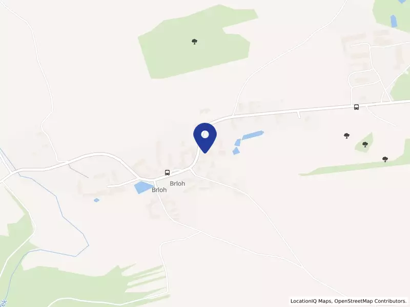 1. písecká lesní a dřevařská, a.s., 12, 39701 Drhovle - Brloh, IČO 25198611