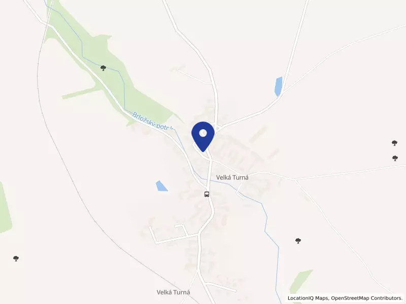 Obec Velká Turná, 41, 38601 Velká Turná - Velká Turná, IČO 00667943