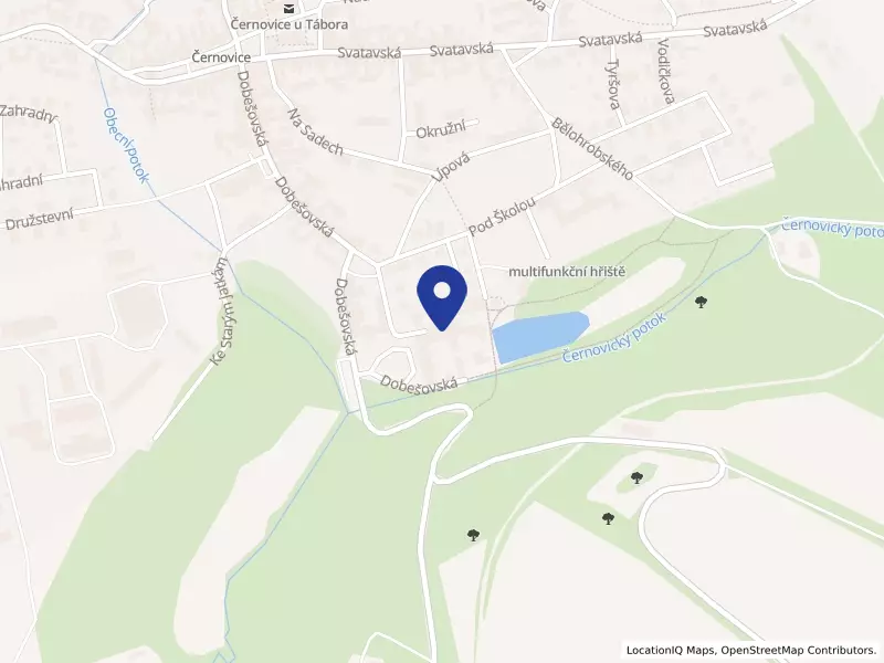 Domov Černovice - Lidmaň, příspěvková organizace, Černovice, Dobešovská 1, 39494 Černovice - Černovice, IČO 70659001
