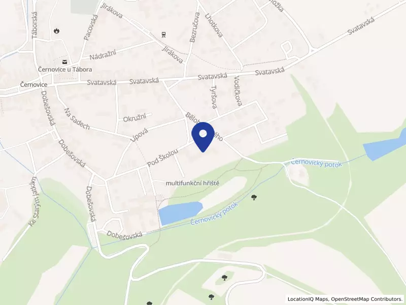 Základní škola a Mateřská škola Černovice, příspěvková organizace, Bělohrobského 367, 39494 Černovice - Černovice, IČO 62540106