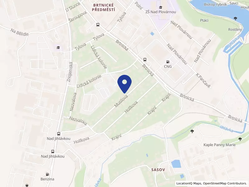 Stomatologie Doležalová s.r.o., Musilova 267/14, 58601 Jihlava - Jihlava, IČO 01861671