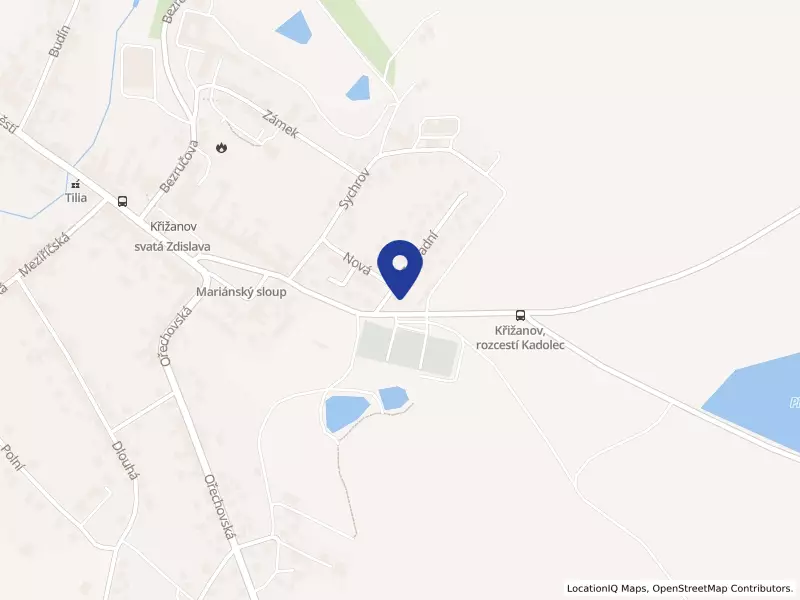 Zázraky se dějí, z. s., Zahradní 496, 59451 Křižanov - Křižanov, IČO 22897071