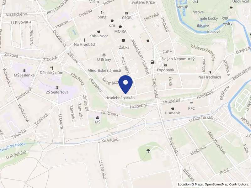 GLOBAL SYSTÉM, spol.s r.o., organizační složka, Havířská 1055/18, 58601 Jihlava - Jihlava, IČO 26296578