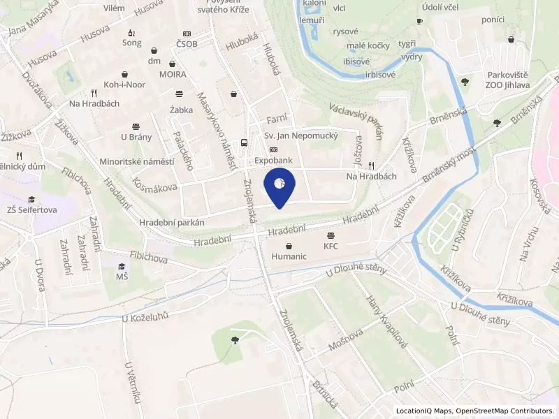 IVY SOLUTION s.r.o., Čajkovského 653/39, 58601 Jihlava - Jihlava, IČO 11916044