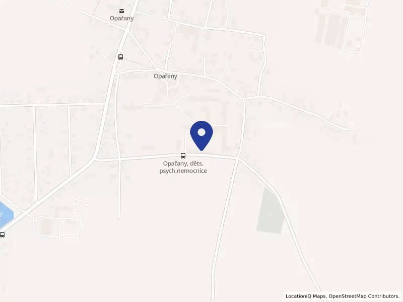 Dětská psychiatrická nemocnice Opařany, 121, 39161 Opařany - Opařany, IČO 00667421