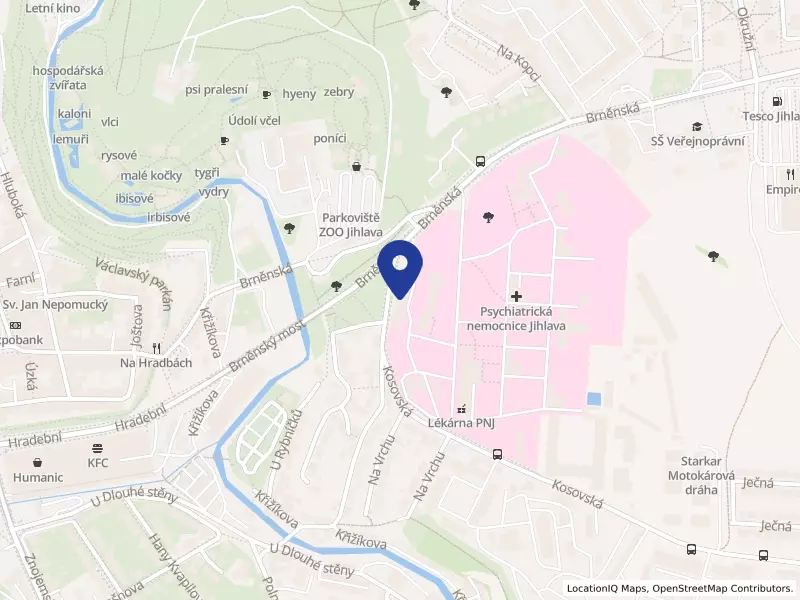 Psychiatrická nemocnice Jihlava, Brněnská 455/54, 58601 Jihlava - Jihlava, IČO 00600601