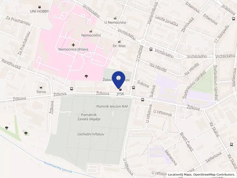 ŽIVOT 99 - Jihlava, z.ú., Jihlava, Žižkova 4897/98, 58601 Jihlava - Jihlava, IČO 04647114
