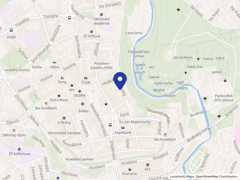 DIEN SERVIS s.r.o., Hluboká 94/16, 58601 Jihlava - Jihlava, IČO 29356458