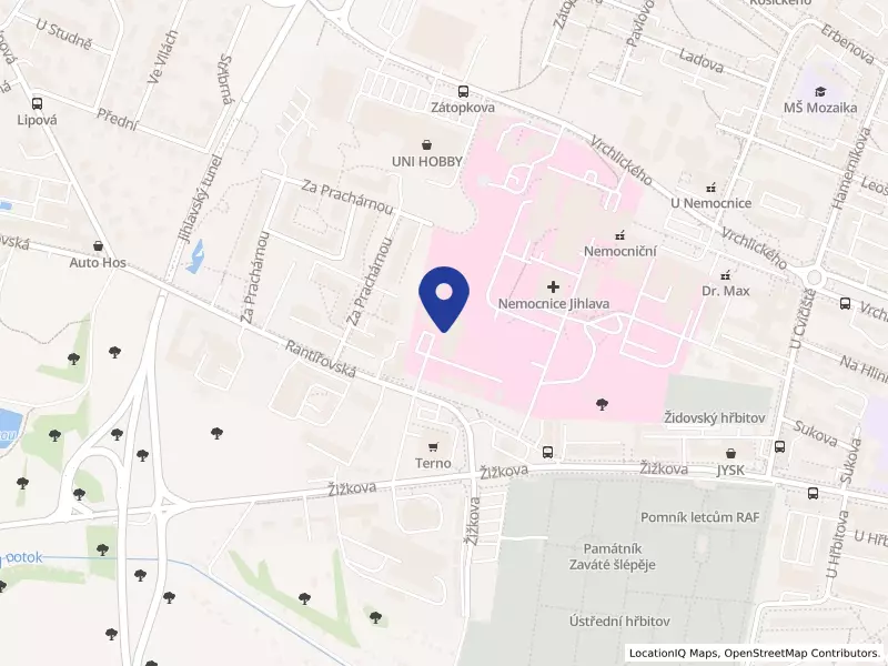 Sociální centrum Kraje Vysočina, příspěvková organizace, Rantířovská 5908/2a, 58601 Jihlava - Jihlava, IČO 75002779