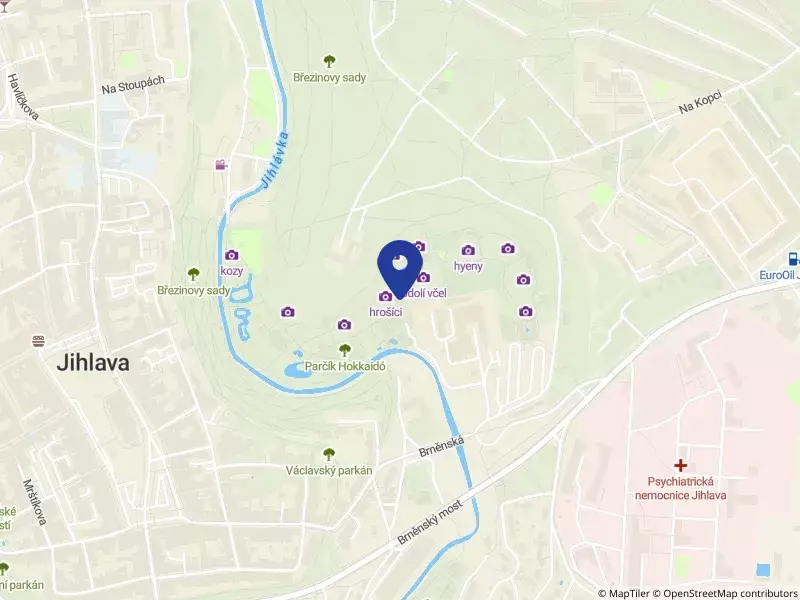 Zoologická zahrada Jihlava, příspěvková organizace, Březinovy sady 5642/10, 58601 Jihlava - Jihlava, IČO 00404454
