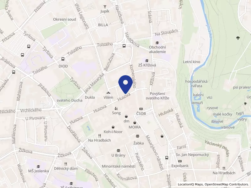 Pomáháme zdravotně postiženým z.s., Husova 1622/10, 58601 Jihlava - Jihlava, IČO 07181370